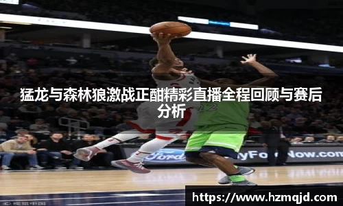 猛龙与森林狼激战正酣精彩直播全程回顾与赛后分析
